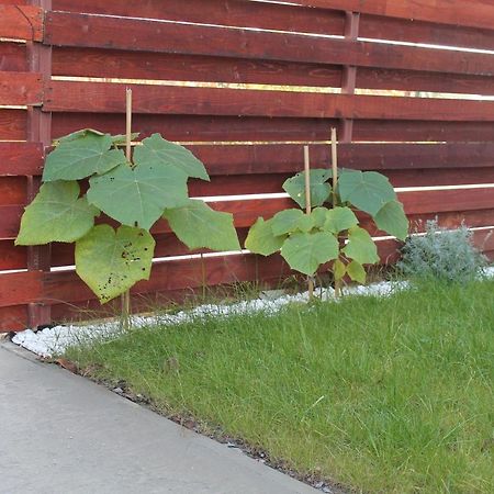 Appartamento Studio Cu Gradina Proprie Popesti-Leordeni Esterno foto